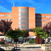 Acudir a urgencias se ha convertido en un sindiós de largas esperas. El Hospital de Lleida lo ha solucionado con un aliado inédito