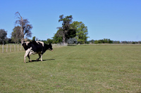 La ruta del queso en Argentina