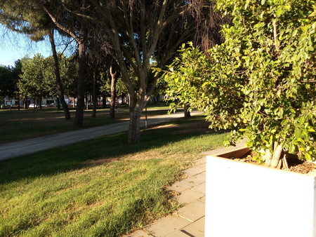 Análisis del Alcatel 1X