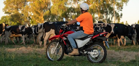 Moto Agricola 4 2024