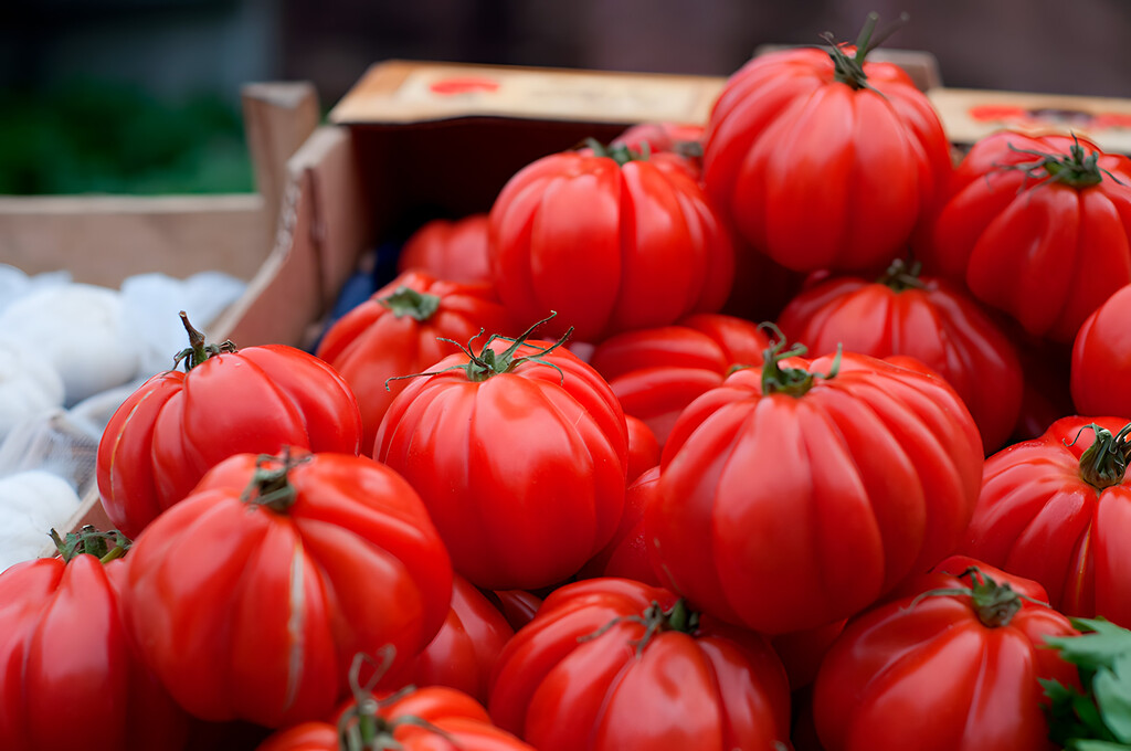 Por qué los exquisitos tomates de mi pueblo no llegan al súper de mi ciudad