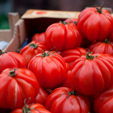 Por qué los exquisitos tomates de mi pueblo no llegan al súper de mi ciudad 