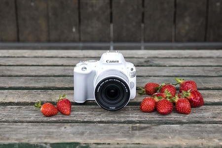 Canon EOS 200D, Nikon D5300, Olympus Pen E-PL9 y más cámaras, objetivos y accesorios en oferta: llega Cazando Gangas