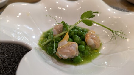 Pxl 20240919 125735649