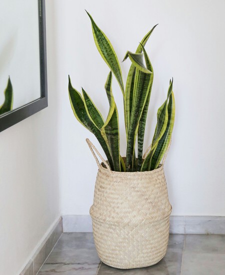 Anastasia Judt Uswkc6xdf7u Unsplash