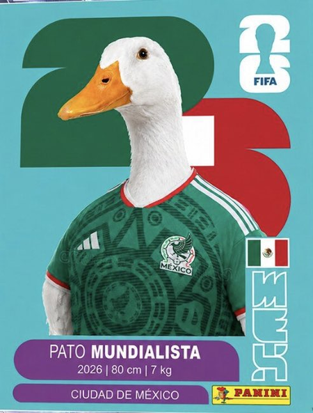 pato mexicano