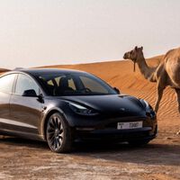 Tesla quiere que miremos mientras prueba sus coches en el calor extremo de Dubái. Algo que el resto de marcas lleva siglos haciendo