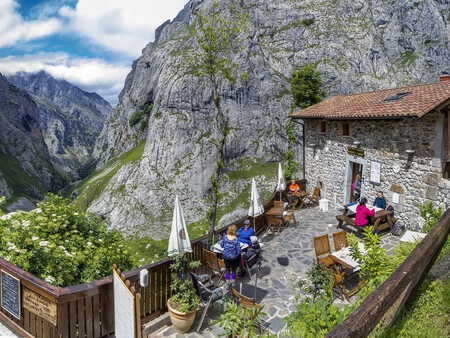 Bulnes2