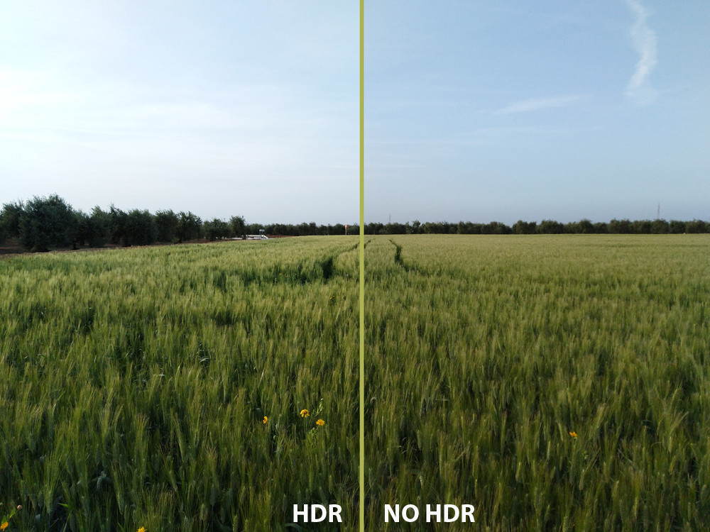 Análisis del Honor 7A