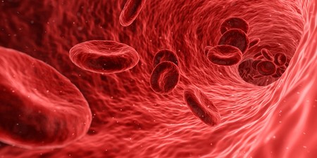 Cómo diagnosticar el maltrato en niños y mujeres cada vez más rápido