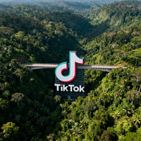 Ceará libera construção de ponte em área protegida alegando "utilidade pública" — obra é para datacenter de parceiro do TikTok