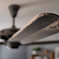 No hace falta levantar una nube de polvo para limpiar el ventilador de techo: este spray casero utiliza solo cuatro ingredientes 