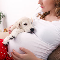 Convivir con perros y gatos en el embarazo tiene beneficios para la salud del bebé, según un estudio