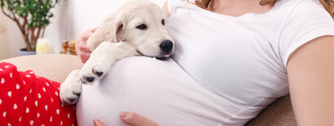 Convivir con perros y gatos en el embarazo tiene beneficios para la salud del bebé, según un estudio