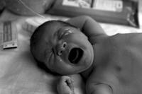 Documental: El cerebro del bebé por Eduardo Punset (segunda parte)