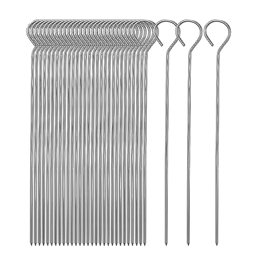 ASYKNM Brochetas Barbacoa de Acero Inoxidable 24.5cm - Set de 20 Unidades para Malvaviscos, Aperitivos, Verduras, Frutas y Pescado. Perfectas para Hogueras y BBQ