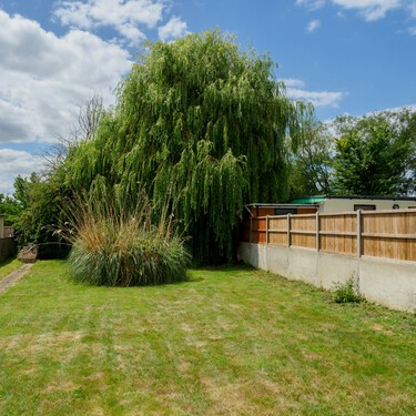 Adiós a los vecinos curiosos: estas son las plantas de rápido crecimiento que dan privacidad a la terraza o el jardín en semanas