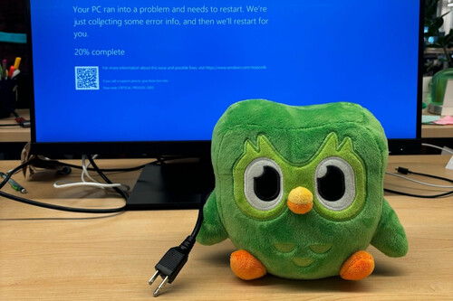 Uso de inteligência artificial pelo Duolingo não pegou bem entre o público | Imagem: Duolingo