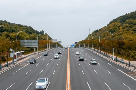 Pexels Super Cute 259139794 18561971