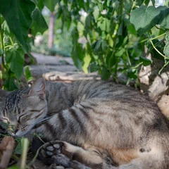 Foto 10 de 16 de la galería sigma-14-24mm-f2-8-dg-dn en Xataka Foto