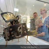 Museos sorprendentes: el Museo de los collares de perro en Leeds 