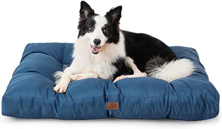 Besure Cama Perros