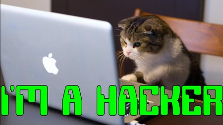 El ataque DDoS contra Dyn DNS que sacudió Internet fue probablemente obra de hackers amateurs