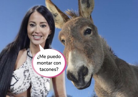 Aurah Ruiz enseña su día en familia: monta en burro con su hijo y termina estallando contra sus 'haters'