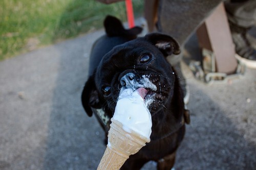Callum Blacoe Q Jgkzsxfgg Unsplash