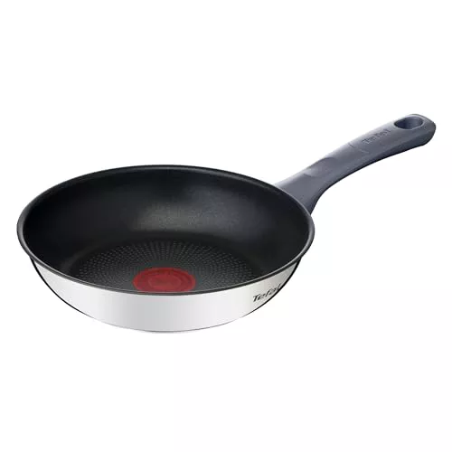 Tefal Daily Cook - Sartén de 20 cm