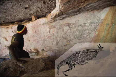 Se constata que este canguro es la pintura rupestre más antigua de Australia y tiene 17.500 años