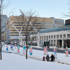 Foto 9 de 10 de la galería primatica-en-montreal-canada en Xataka