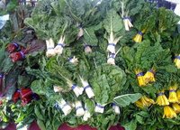 Restricciones de hortalizas con altos niveles de nitratos durante la infancia