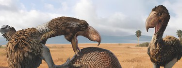 Emboscada prehistórica: así fue vencida la poderosa "Ave del terror" que hace 13 millones de años imponía su ley en lo que hoy conocemos como Colombia 