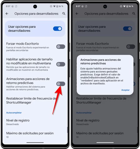 Android 13 のオプション