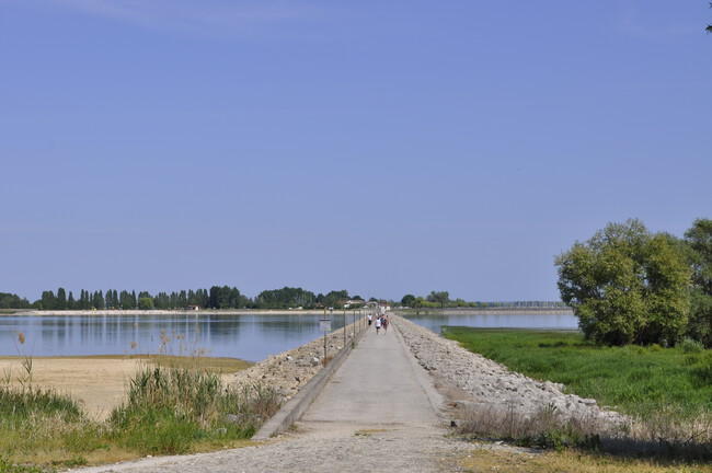 Lac Du Der Chantecoq Promenade Sur Digue