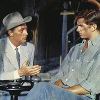 Hoy en TV, cine del Oeste de escala épica y colores intensos por uno de los grandes directores del cine clásico