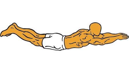 Guía para principiantes (XXVIII): Extensión lumbar en suelo o superman