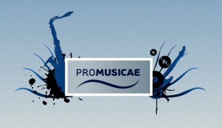 Guisasola (Promusicae) denuncia que la Ley Sinde funciona con mucha más tibieza que rigor