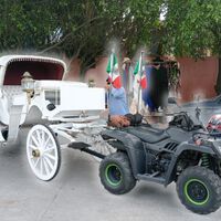 Muchos vendieron sus caballos para comprar cuatrimotos y mover sus calandrias en Rosarito. Ha sido un gran desastre  