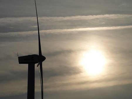 Los parques eólicos matan más aves de lo esperado