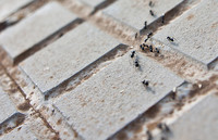 Incentivos a la contratación en vigor para 2014 