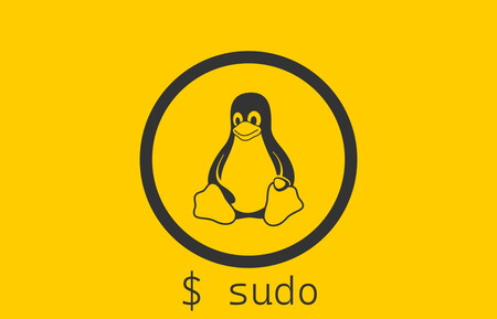 Una vulnerabilidad crítica en Sudo permite ganar acceso root en casi cualquier distro Linux