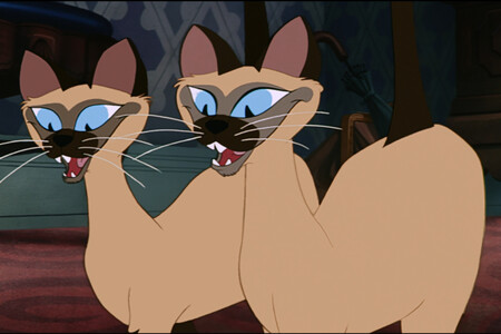 La Dama y el Vagabundo