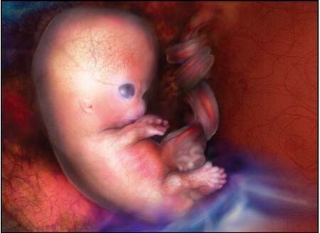 Captura De Pantalla 2021 06 26 A Las 10 58 16