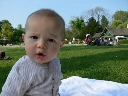 La foto de tu bebé, un paseo por el parque