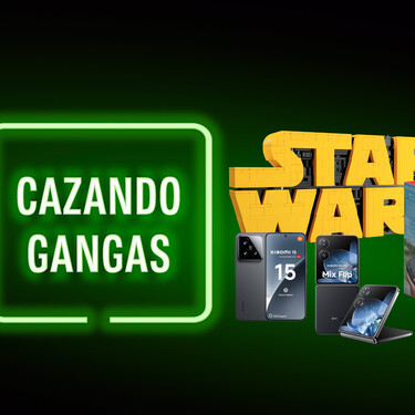 Cazando Gangas