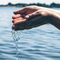 La economía del agua cada vez será más importante