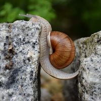 Valora mi trabajo y reflexiona si me pagas lo que valgo