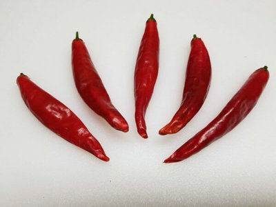 Chile pico de pájaro: el ingrediente que le da sentido a la cocina huasteca